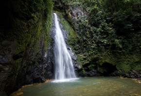 country, dominica, 