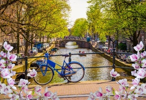 , , , buildings, canal, , Netherlands, blossom, old, Amsterdam, spring, , bridge, , flowers