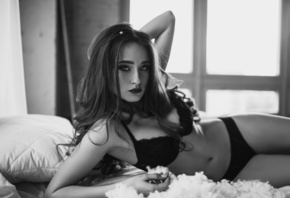 women, black lingerie, belly, in bed, window, portrait, monochrome