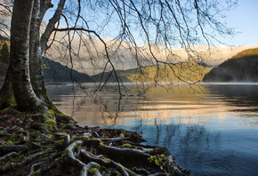 , , Olympic National Park, , , , , ,  ...