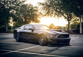 Ford, Mustang, Shelby, black