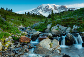 Mt Rainier, National Park, , 