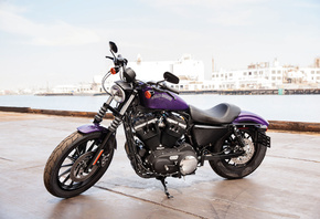 , Harley Davidson, XL 883N, Iron, 
