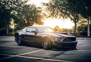 ford, mustang, , , , , 