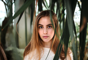 women, blonde, face, portrait, depth of field