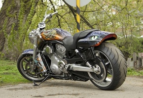 Harley Davidson, , 