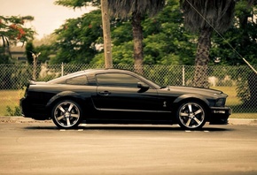 forg, mustang, black, 