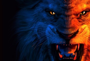 , Lion, , ,  