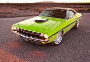 1970, challenger, classic, custom, dodge