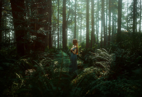 , , , TJ Drysdale