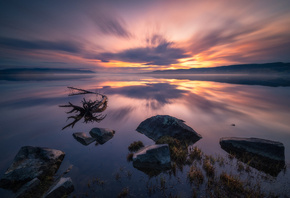 , , , , , Ole Henrik Skjelstad