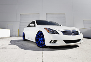 Infiniti, , G-Series, G37