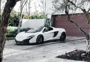 McLaren, 570S, Spider, 2018