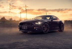 , Mustang