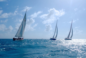 sport, yachts, regatta, sea