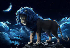 Leo, rock, mane, the sky, The moon,  LEONa