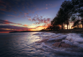 lake, trees, forest, ice, winter