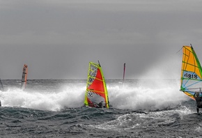 sail, the wind, regatta, Board, wave, Windsurfing, sea