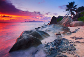 morning, palm trees, La Digue island, Seychelles, sea, the evening, water,  ...