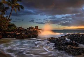 palm trees, Makena Cove, Pacific Ocean, Hawaii, coast, Maui, the ocean, Mau ...