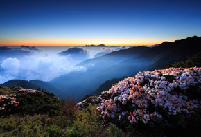 flowers, morning, mountains, fog, the evening, night, hills, the sky, clouds, sunset