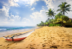 paradise, beach, palm trees, beach, sea, sand, tropics