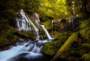 , , , Doug Shearer, , , , 