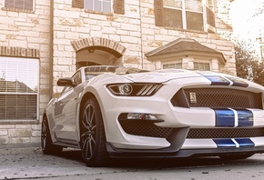 Ford, Mustang, GT350