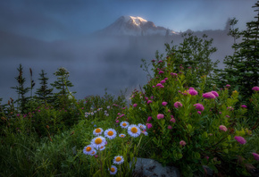 Doug Shearer, , , , , -, Mount Rainier ...
