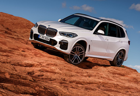 BMW, , X5 G05