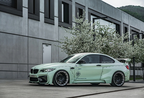 Performance, BMW, M2