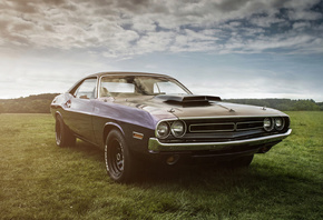 Dodge, Challenger, 