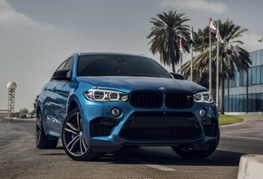 BMW, X6M, X6, , F86