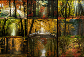 , , , Lars van de Goor, 