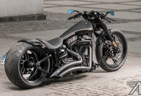 Harley-Davidson, Softail, , aerografia