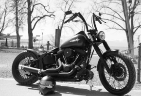 , , Harley Davidson, , 