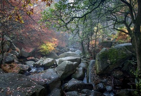 , , , , , , , , Padley Gorge