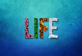 , LIFE, , 
