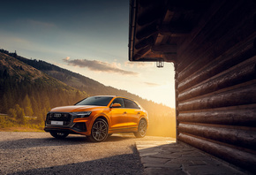 martin cyprian, , Audi, Q8, 