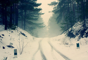 road, forest, snow, trees, branches, nature, fog, silence, frost, haze, pine, silhouettes, cold, the wheel marks