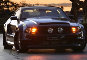 Ford, Mustang, GT, , Forgiato