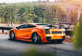 Lamborghini, Gallardo, rear view, tuning, orange, supercar