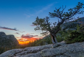 Rocky Mountain, National Park, Colorado, , , , , 