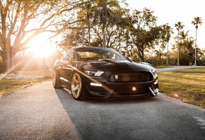 Ford, Mustang, Shelby, GT350, black