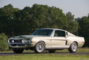 ford, shelby, GT500, 1968