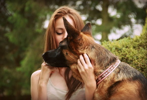 Dog, Pet, German Shepherd, Girl