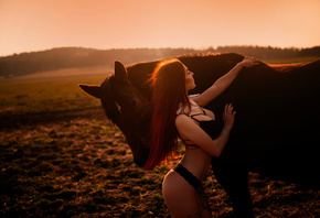 women, ass, brunette, horse, black lingerie, sunset, tattoo, long hair, ani ...