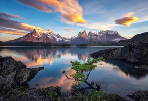 , , , , , , , , Timothy Poulton