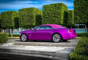 Rolls-Royce, Dawn in Fuxia
