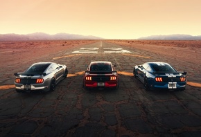 Ford, Mustang, Shelby, GT500, , 